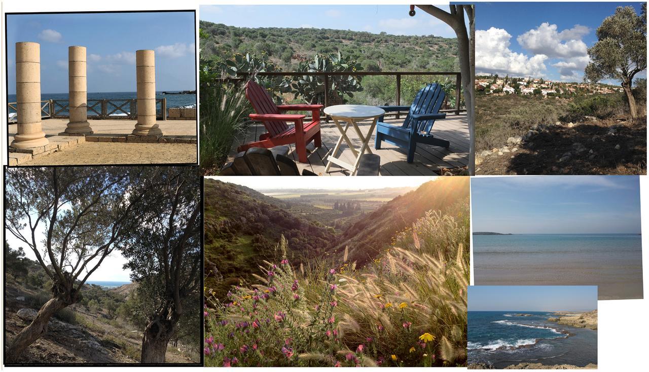 Natural Reserve Apartment Zikhron Ya'akov Eksteriør bilde